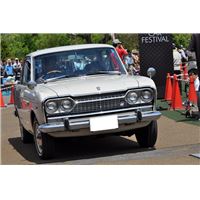 tcf150524 (15).JPG